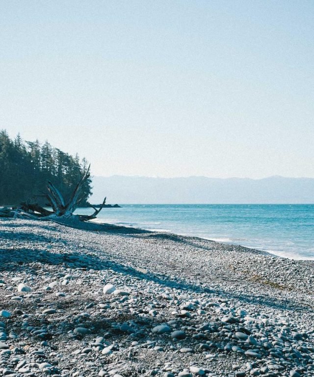 Concrete Tide: A Coastline Rebuilt