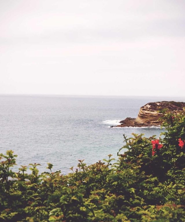 The Vanishing Fishing Grounds